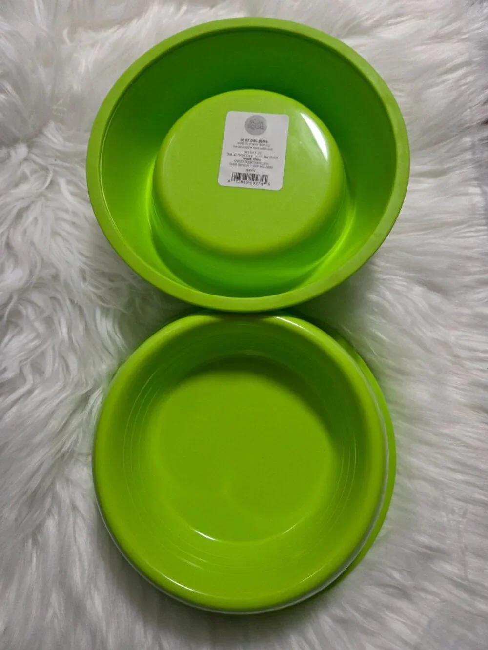 Sun Squad Set of 2 Dog Bowls